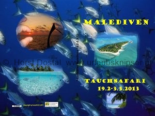 k-Malediven 2013 (2)