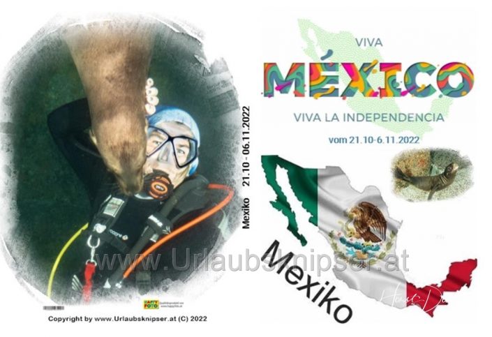 CoverPreview (Copy)