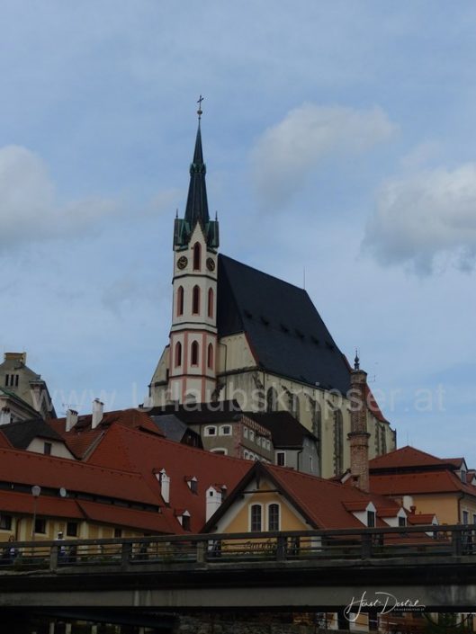 P1110616 (Copy)