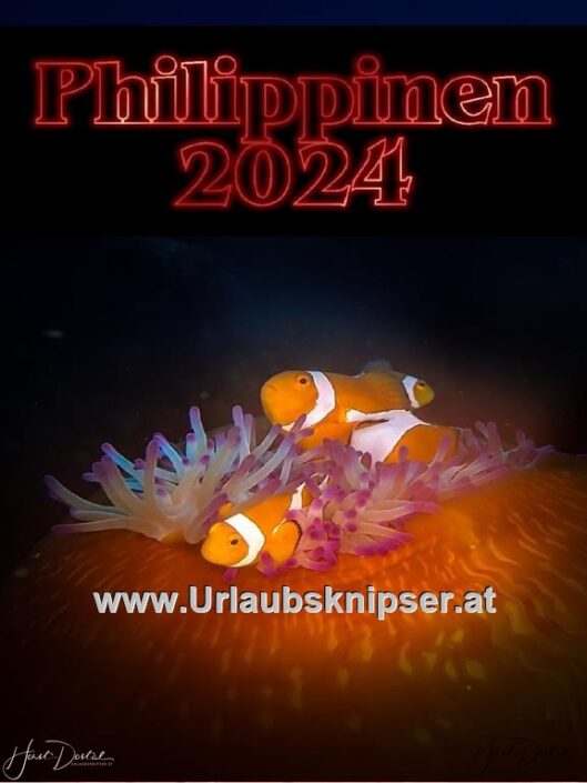 Philippinen 24 (355)